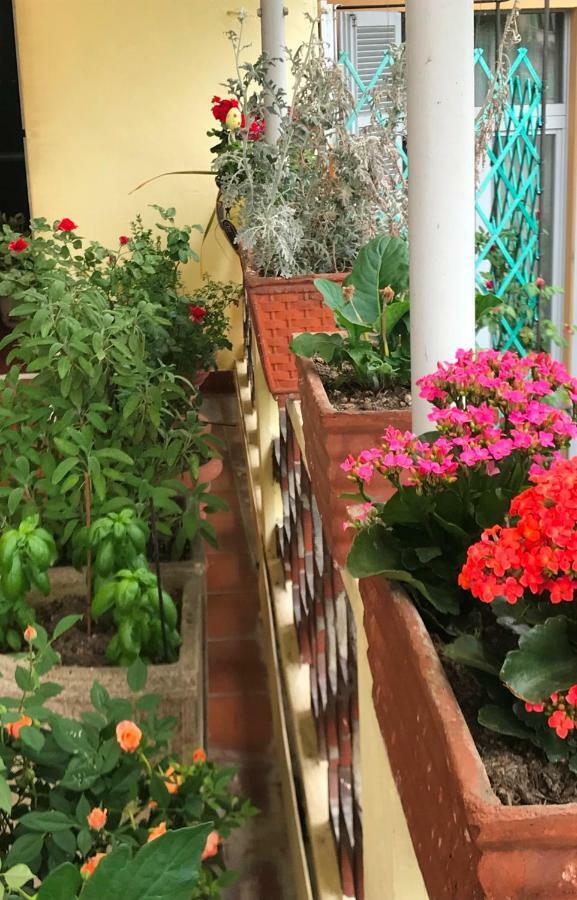 Casa Di Nonna Bed & Breakfast Vercelli Ngoại thất bức ảnh