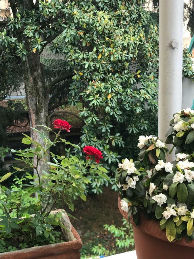 Casa Di Nonna Bed & Breakfast Vercelli Ngoại thất bức ảnh