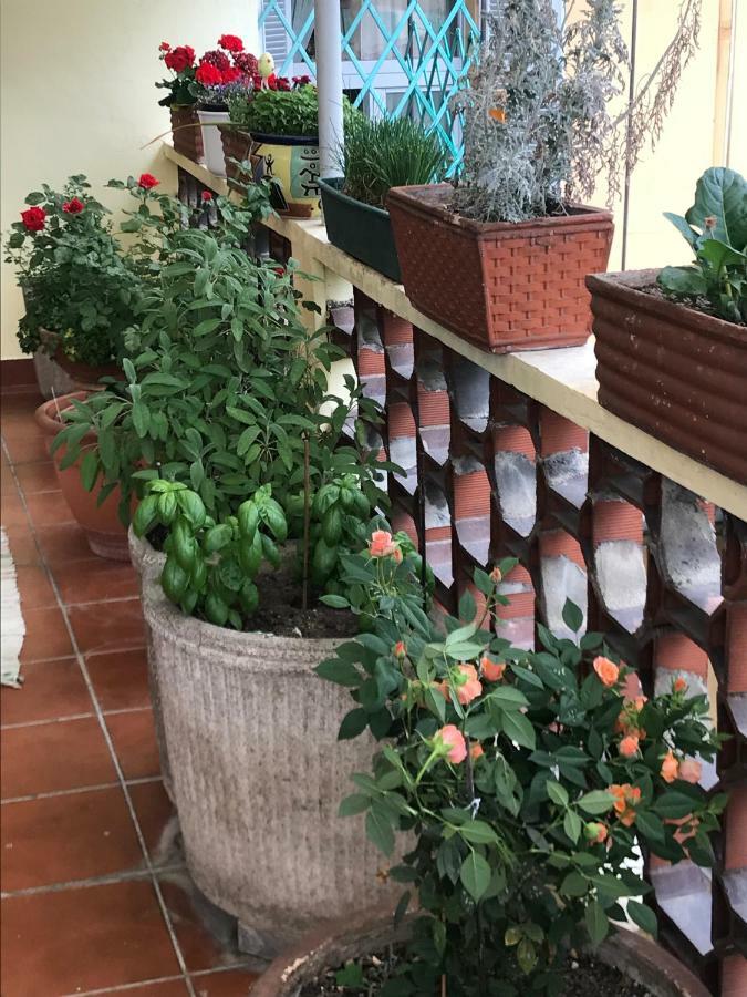 Casa Di Nonna Bed & Breakfast Vercelli Ngoại thất bức ảnh